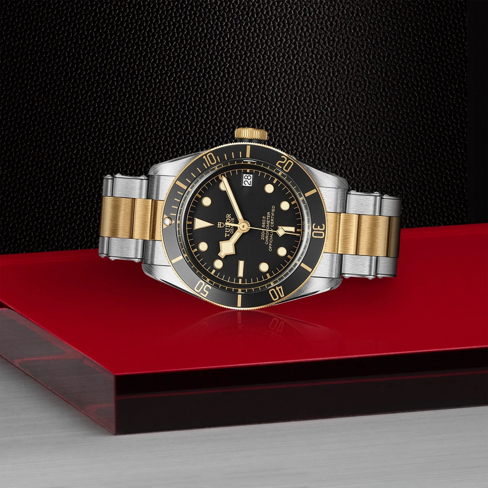 TUDOR Black Bay S&amp;G 41mm Black Dial - M79733N-0008 On Display - Skeie's Jewelers