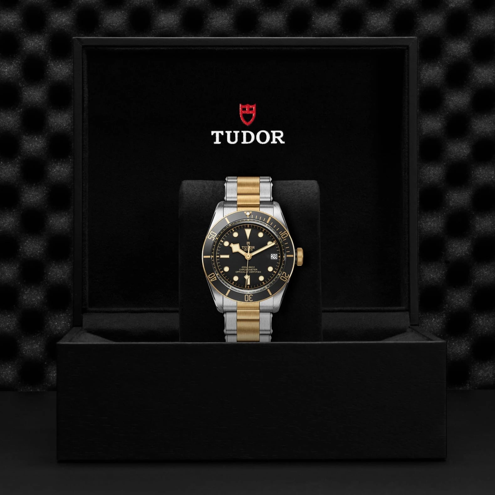 TUDOR Black Bay S&amp;G 41mm Black Dial - M79733N-0008 In Box - Skeie's Jewelers