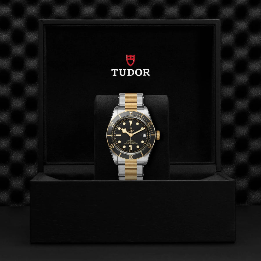 TUDOR Black Bay S&G 41mm Black Dial - M79733N-0008 In Box - Skeie's Jewelers