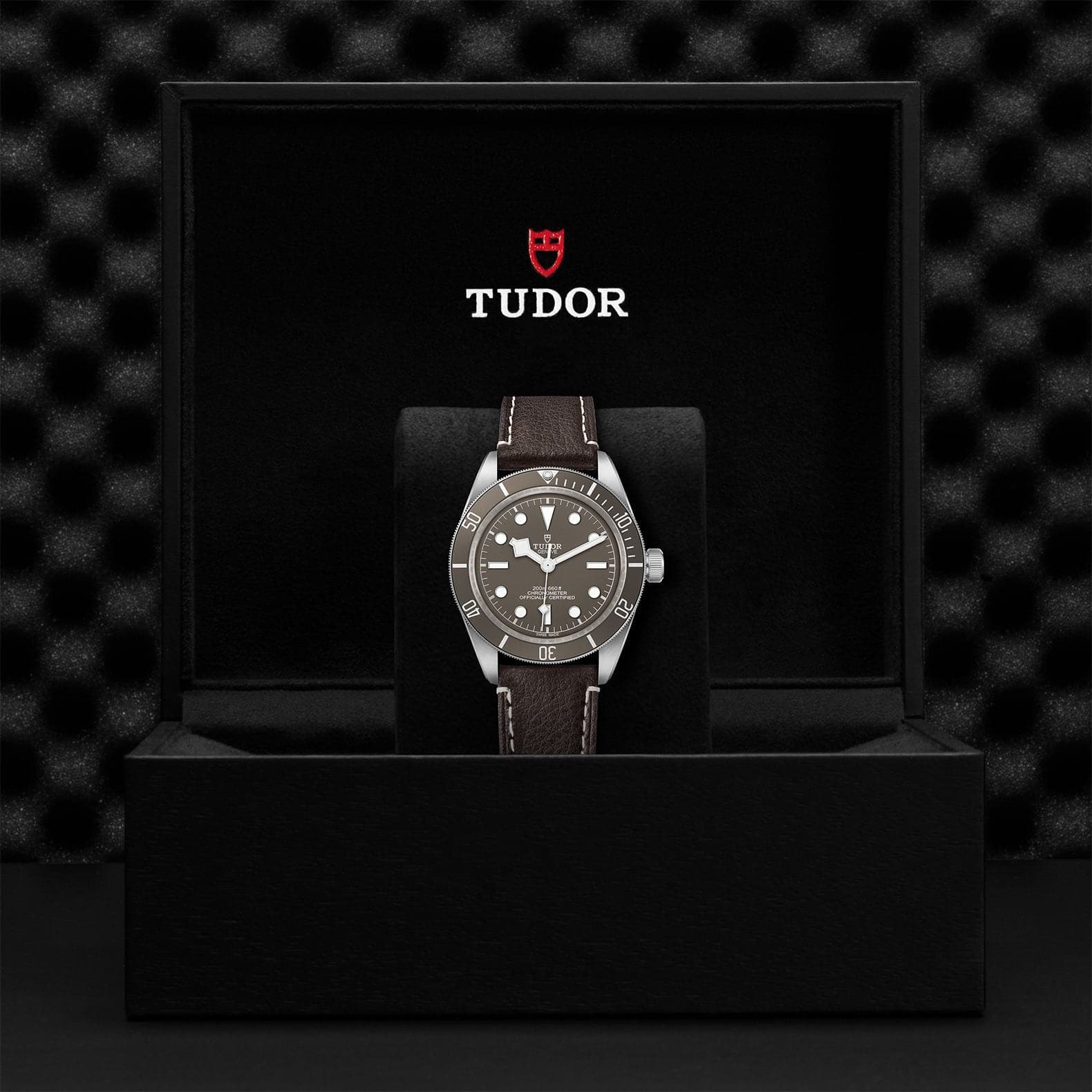 Tudor Black Bay Fifty-Eight 925 39mm Silver - Skeie's Jewelers
