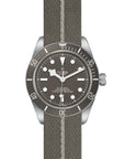 Tudor Black Bay Fifty-Eight 925 39mm Silver - Skeie's Jewelers