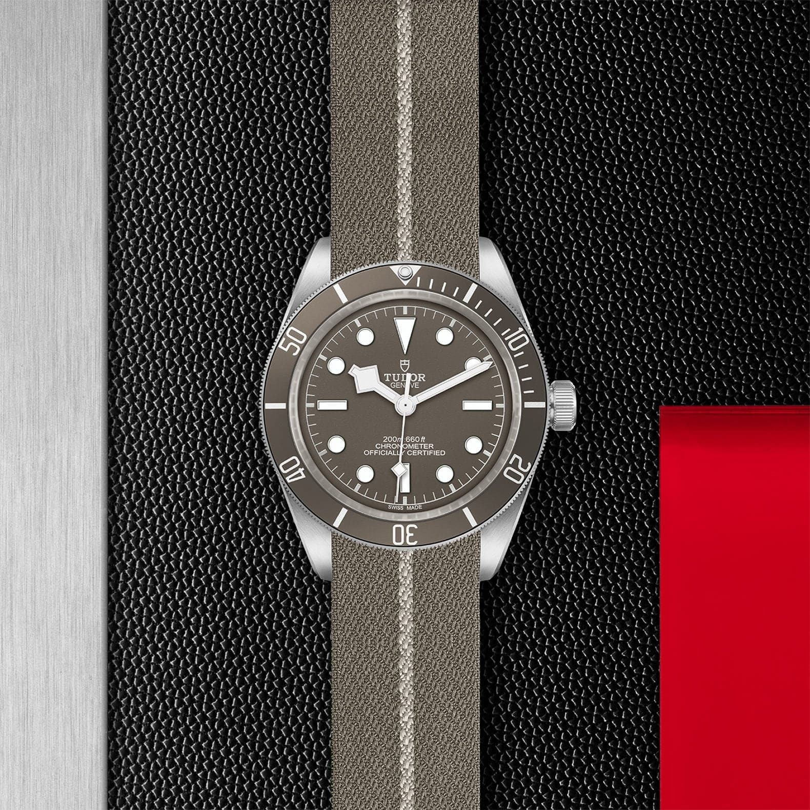 Tudor Black Bay Fifty-Eight 925 39mm Silver - Skeie's Jewelers