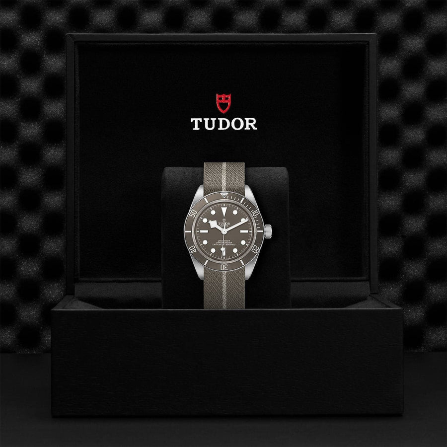 Tudor Black Bay Fifty-Eight 925 39mm Silver - Skeie's Jewelers