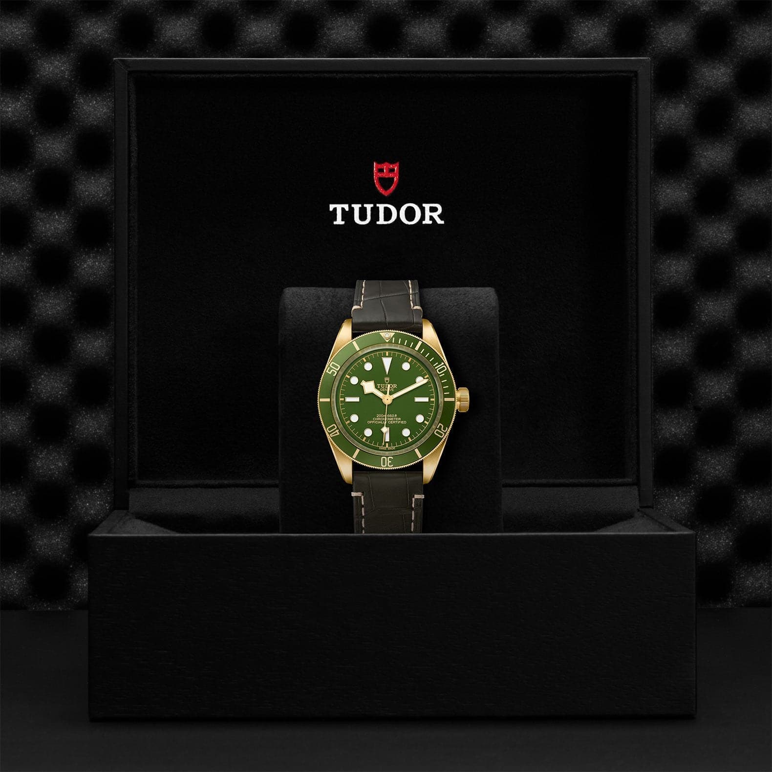 Tudor Black Bay Fifty-Eight 18K 39mm Yellow Gold - Skeie's Jewelers