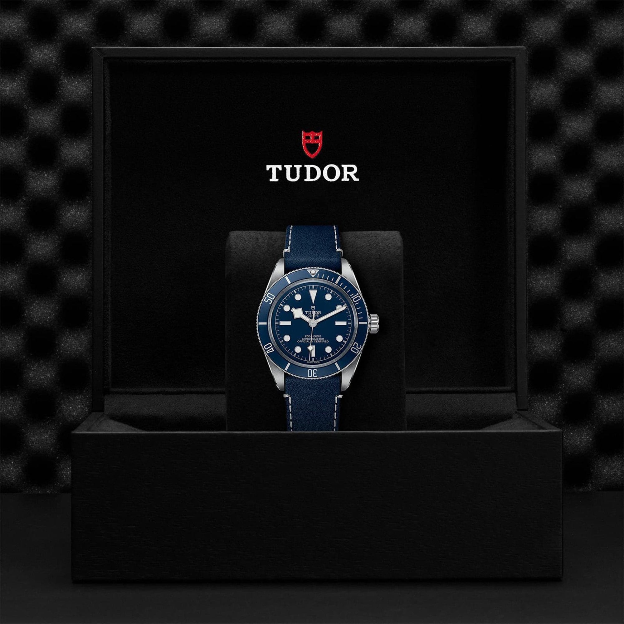 Tudor Black Bay 58 Blue Dial - M79030B-0002 4