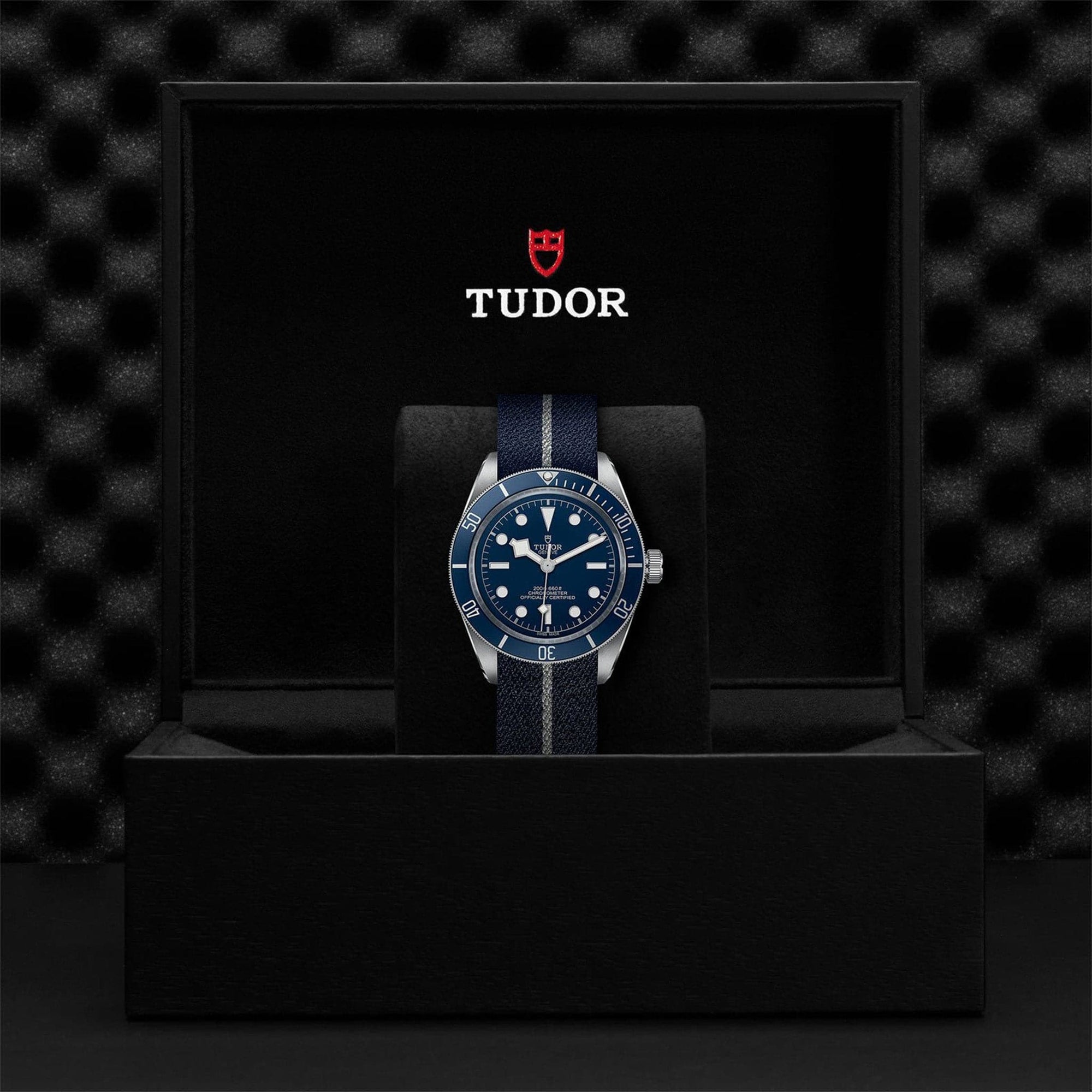 Tudor Black Bay 58 Blue Dial - M79030B-0003 4