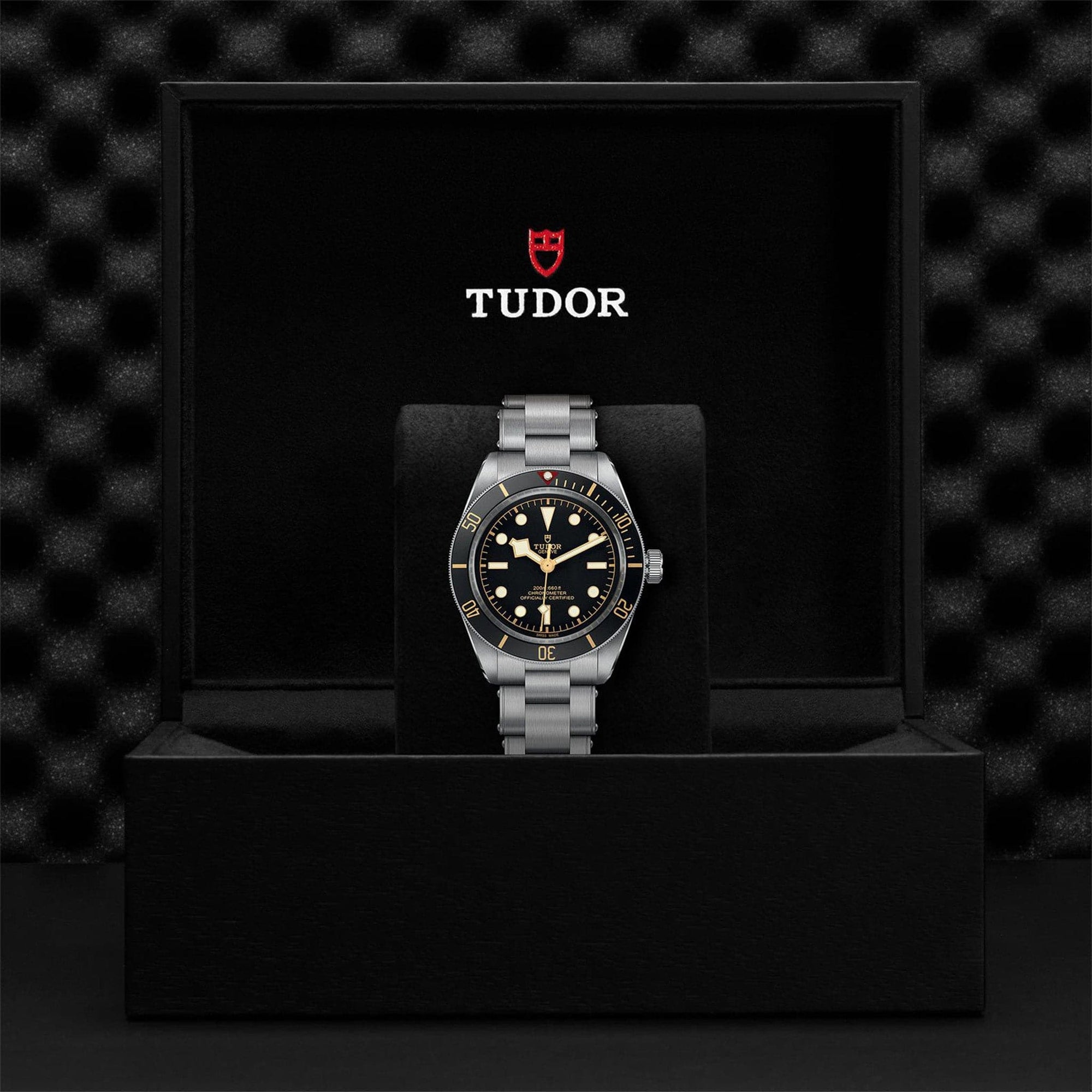 Tudor Black Bay Fifty-Eight 39mm - M79030N-0001 Modeled 2