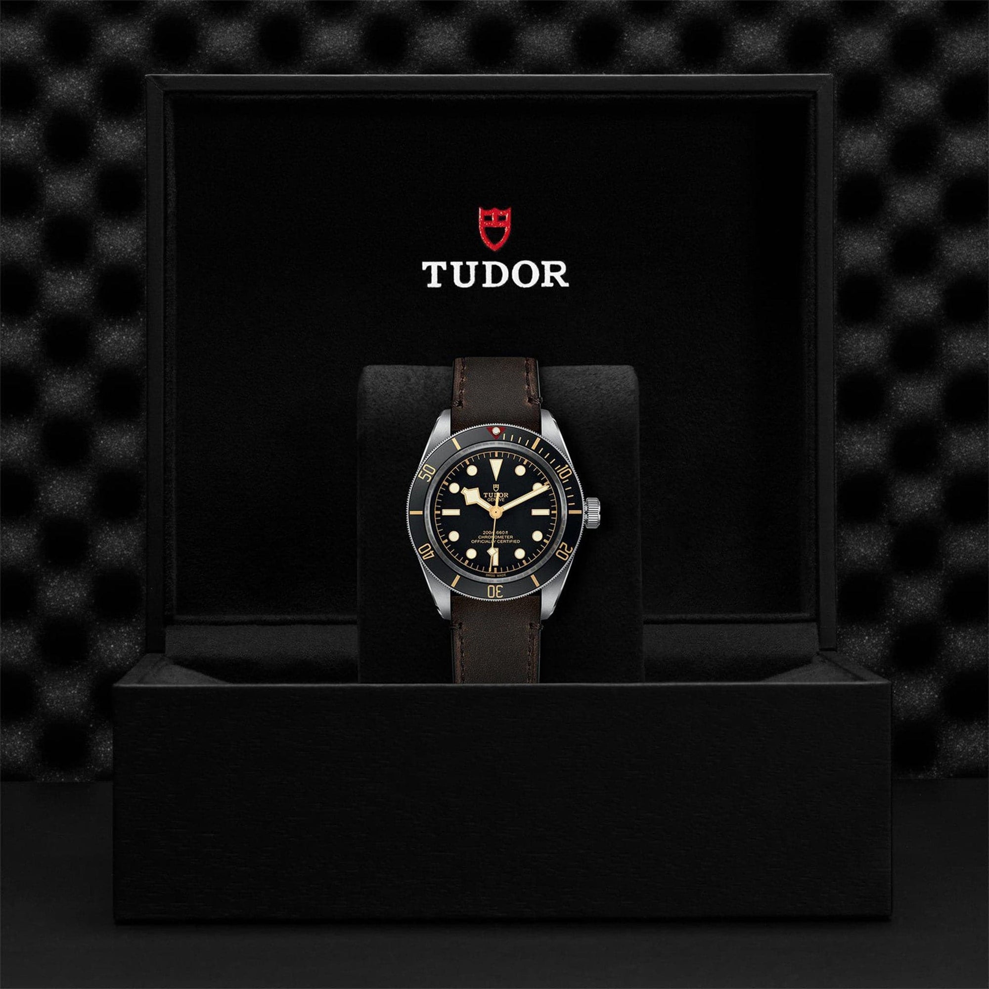 Tudor Black Bay 58 Black Dial - M79030N-0002 4