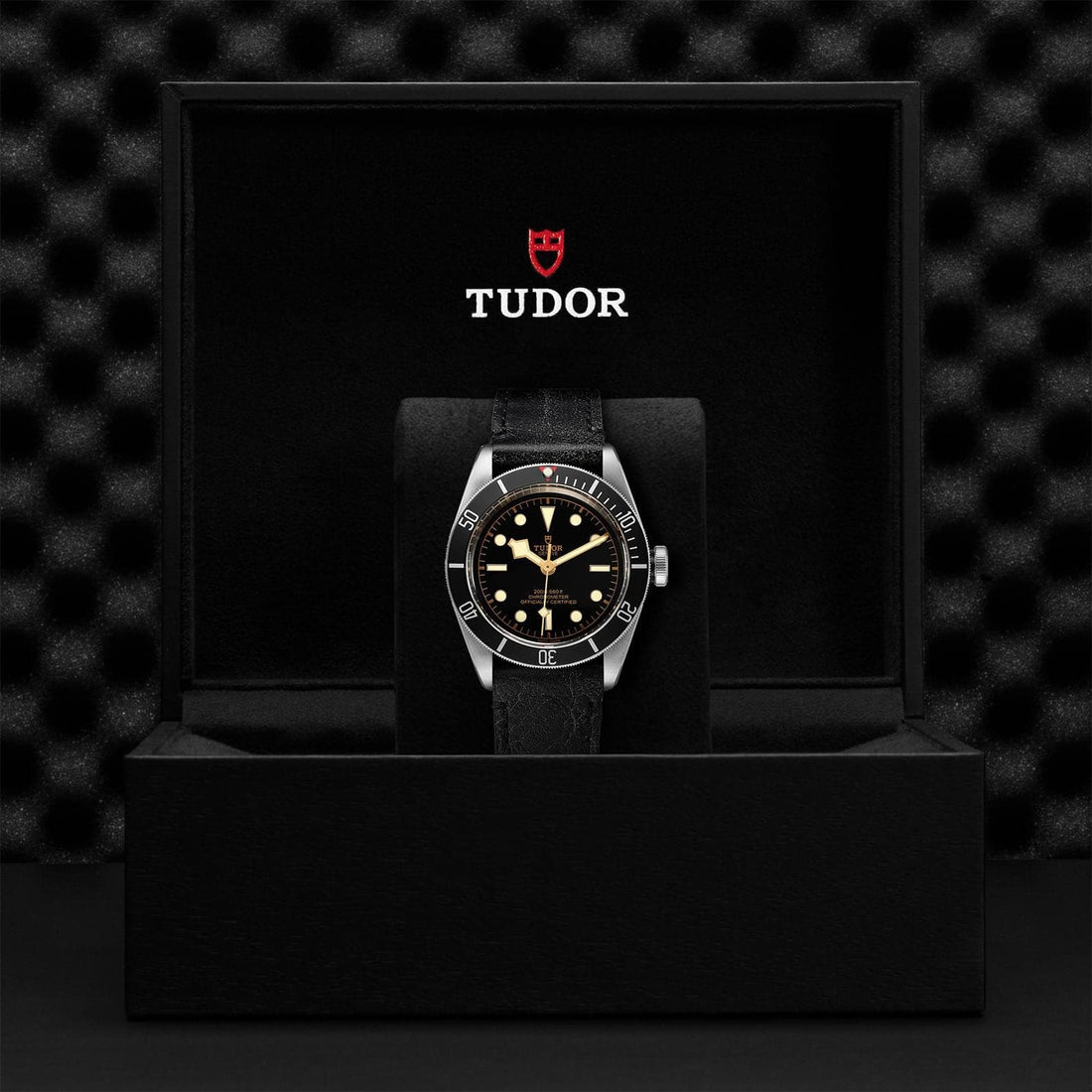 Tudor Black Bay 41mm Steel Men's Watch | M79230N-0008