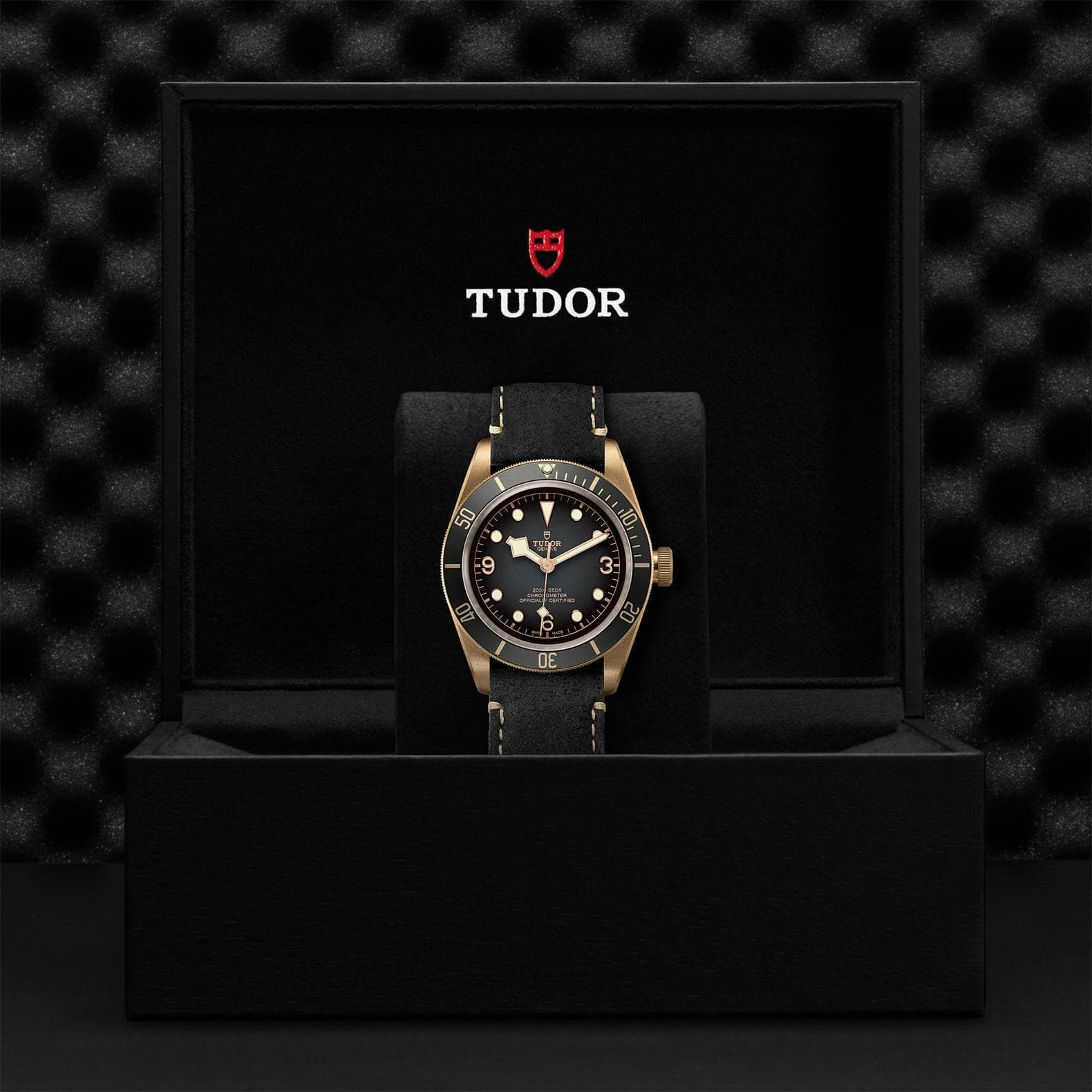 Tudor Black Bay Bronze 43mm - Skeie's Jewelers
