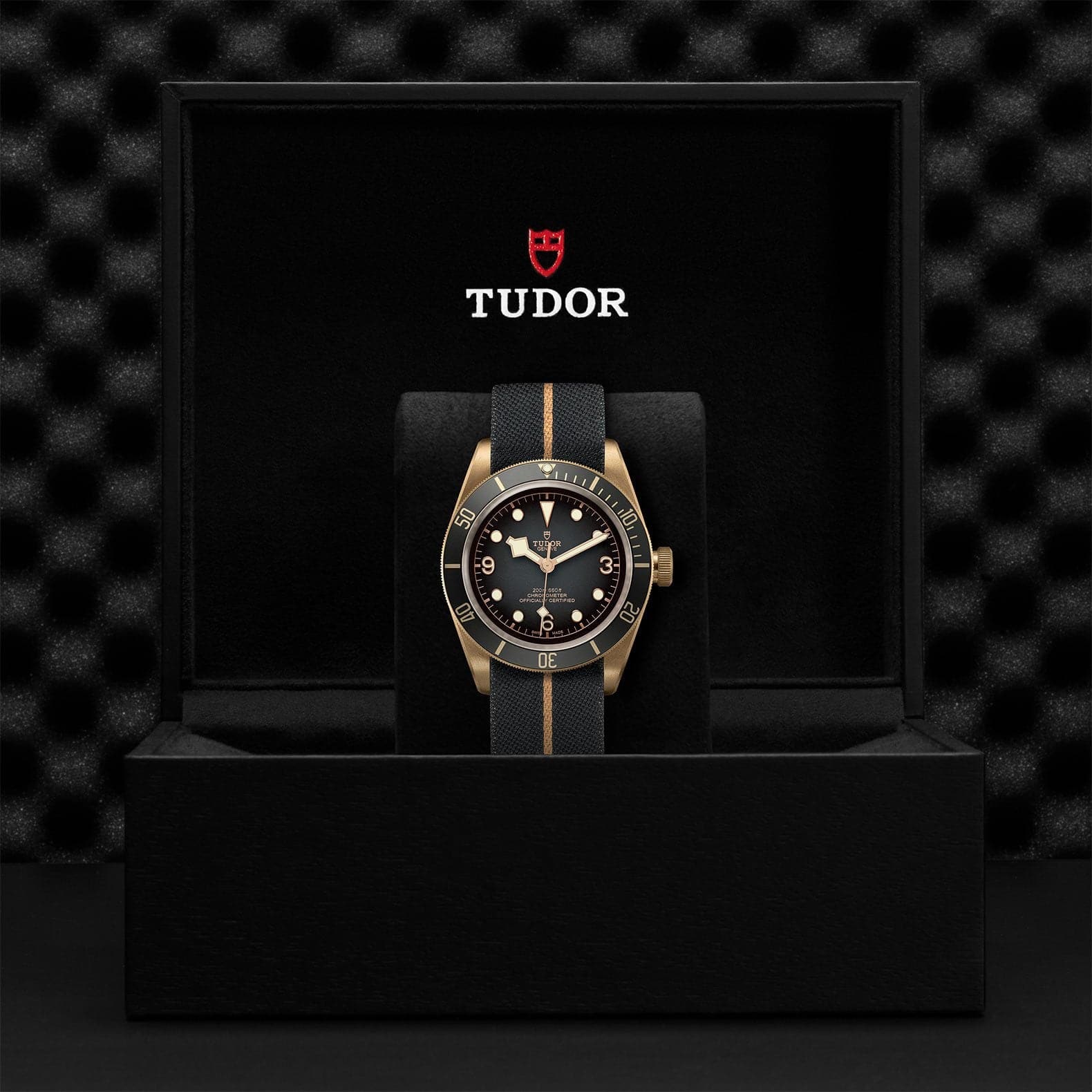 Tudor Black Bay Bronze 43mm Men's Watch