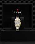 Tudor Black Bay 31 S&G 31mm Steel