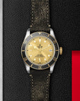 Tudor Black Bay S&G 41mm Steel And Gold - Skeie's Jewelers