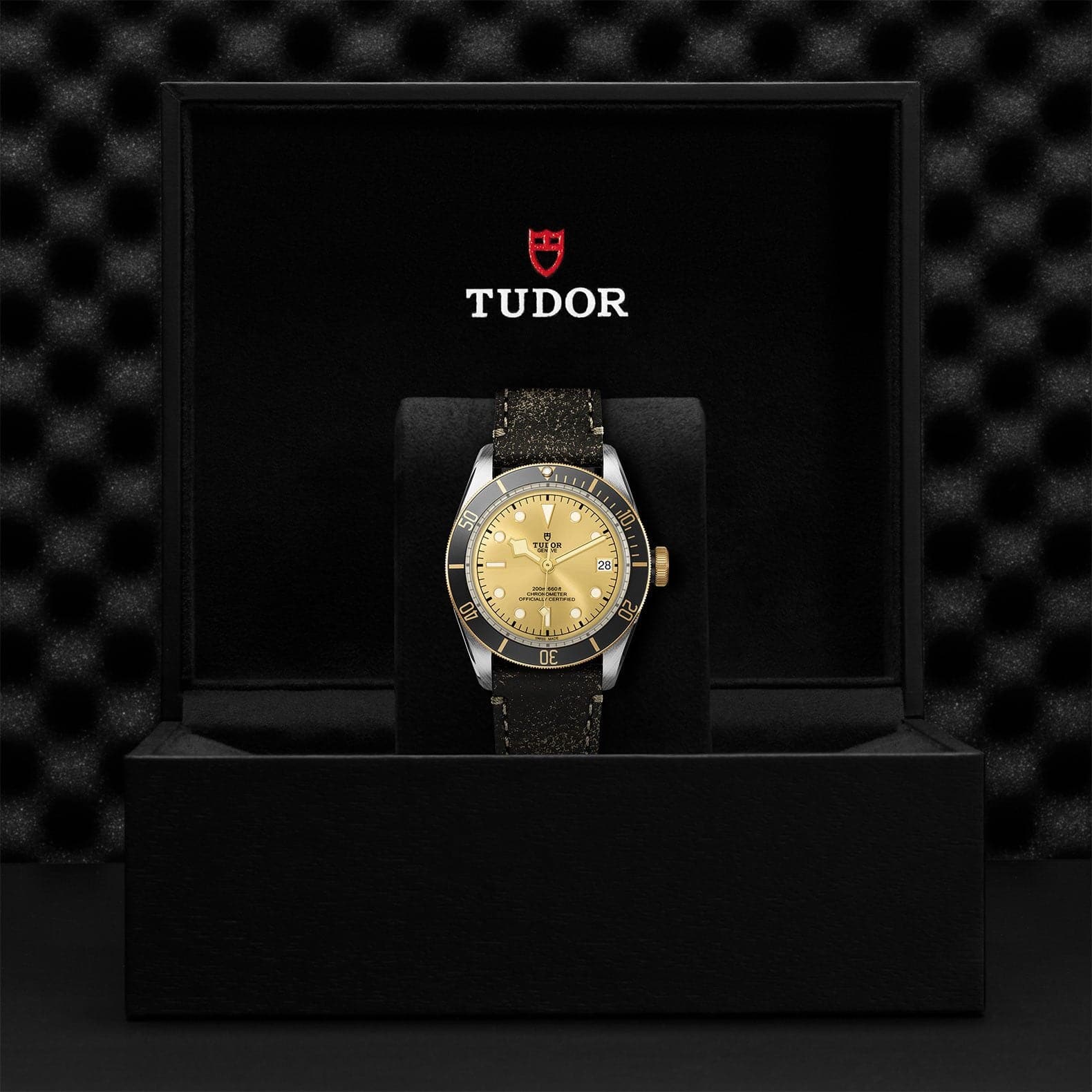 Tudor Black Bay S&G 41mm Steel And Gold - Skeie's Jewelers