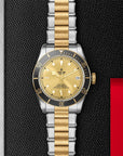 Tudor Black Bay S&G 41mm Steel And Gold Men's Watch