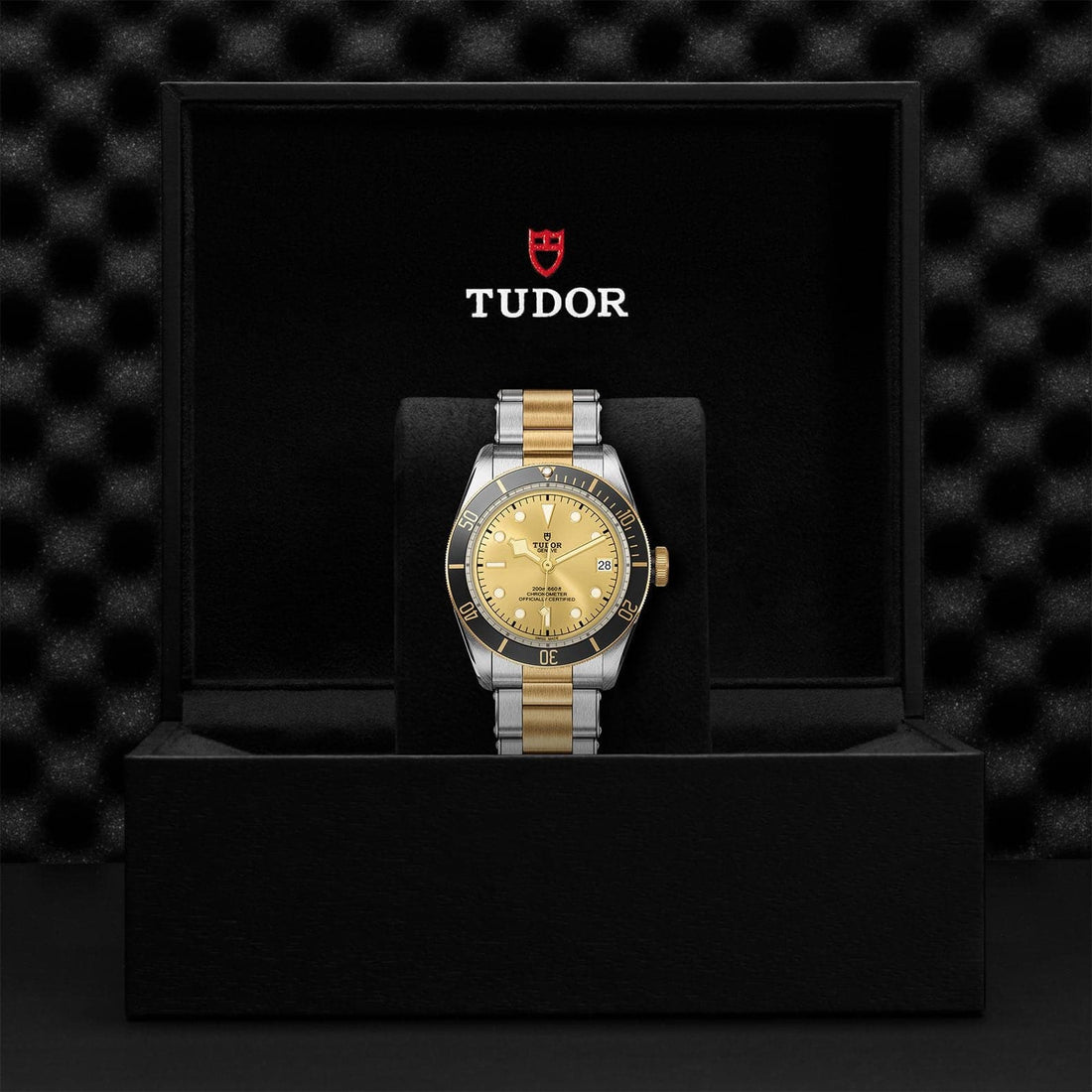 Tudor Black Bay S&G 41mm Steel And Gold Men's Watch