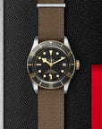 Tudor Black Bay S&G 41mm Steel And Gold - Skeie's Jewelers
