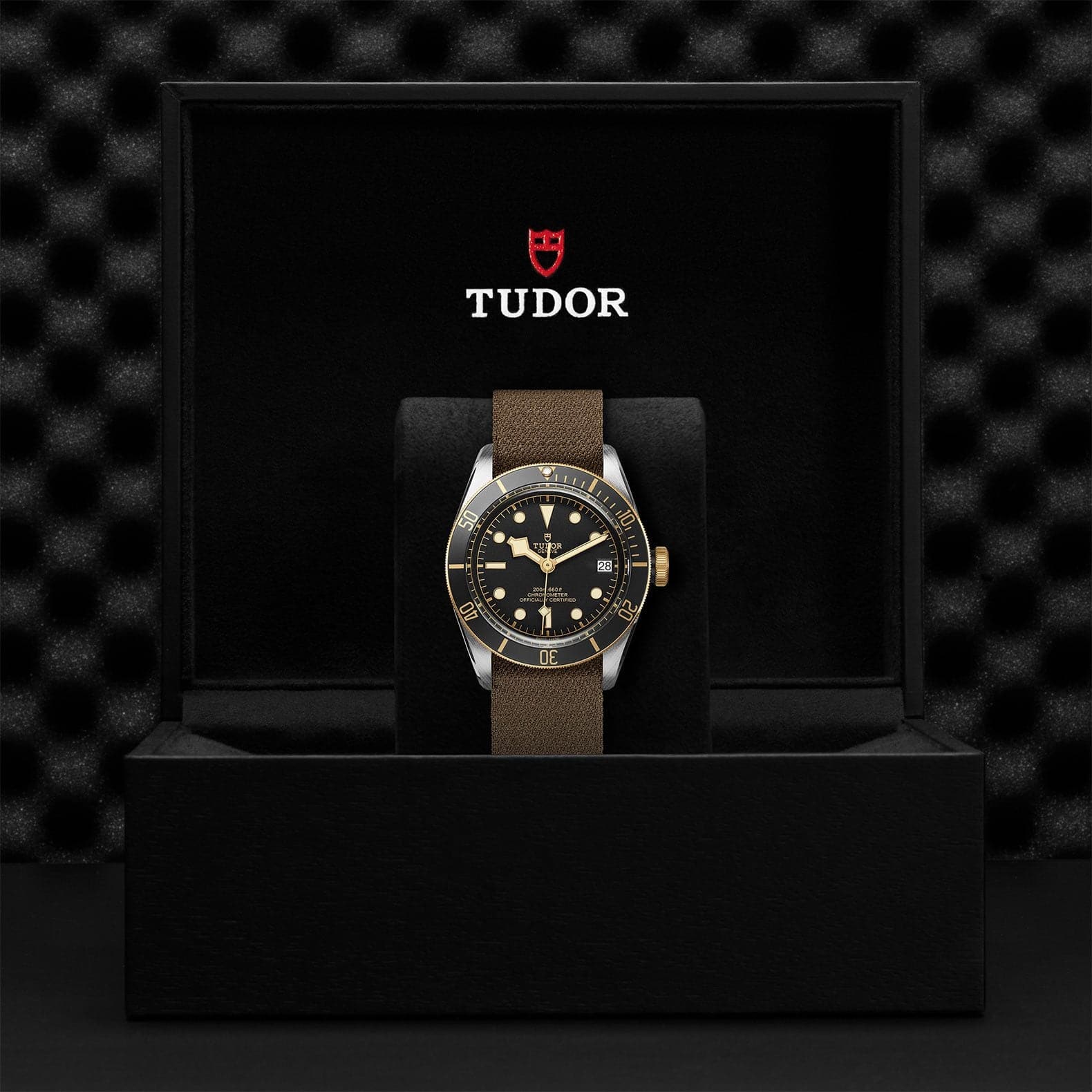 Tudor Black Bay S&G 41mm Steel And Gold - Skeie's Jewelers
