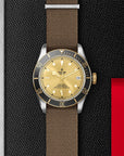 Tudor Black Bay S&G 41mm Steel And Gold - Skeie's Jewelers