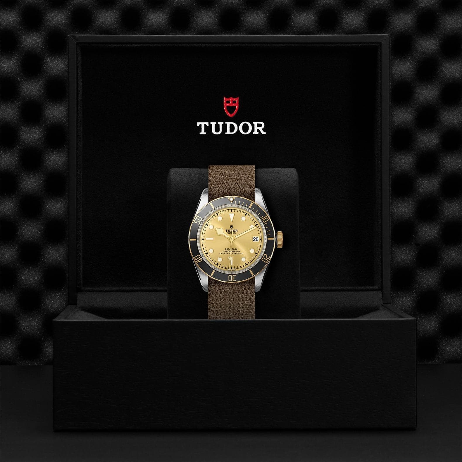 Tudor Black Bay S&G 41mm Steel And Gold - Skeie's Jewelers