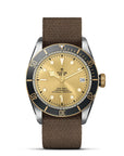 Tudor Black Bay S&G 41mm Steel And Gold - Skeie's Jewelers