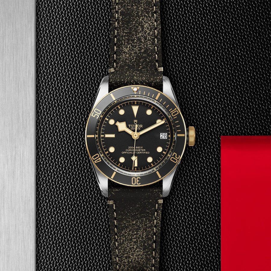 Tudor Black Bay S&G Leather Strap Watch - M79733N-0007 3