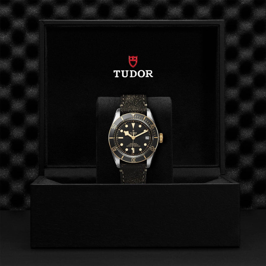 Tudor Black Bay S&G Leather Strap Watch - M79733N-0007 4