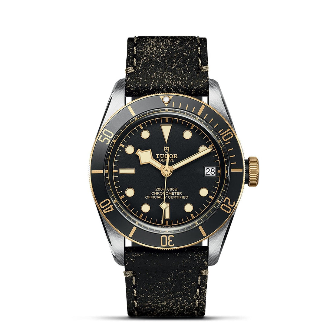 Tudor Black Bay S&G Leather Strap Watch - M79733N-0007 1