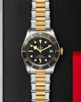 Tudor Black Bay S&G 41mm Steel And Gold - Skeie's Jewelers
