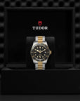 Tudor Black Bay S&G 41mm Steel And Gold - Skeie's Jewelers