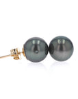 Tahitian Black Pearl Stud Earrings in Yellow Gold
