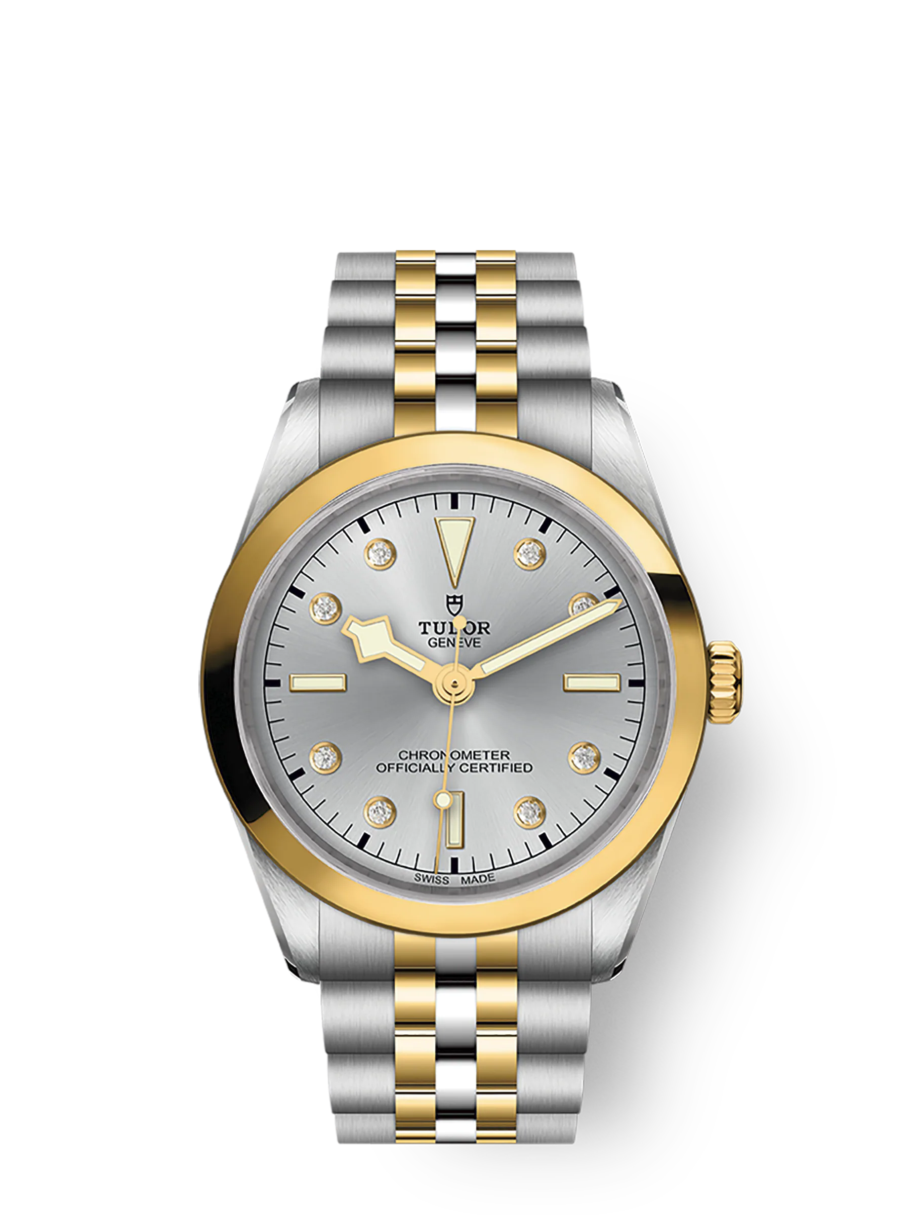 Tudor Black Bay 36 S&G